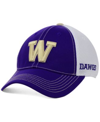 Top of the World - Washington Huskies Ruckus Cap