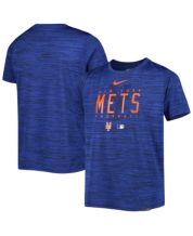 Infant Nike Pete Alonso Royal New York Mets Player Name & Number T-Shirt