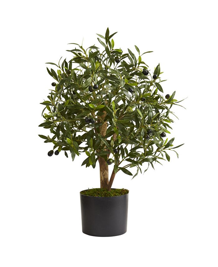 Nearly Natural - 29" Olive Artificial Tree