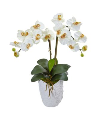 Nearly Natural - Double Phalaenopsis Orchid Artificial Arrangement in White Ceramic Vase