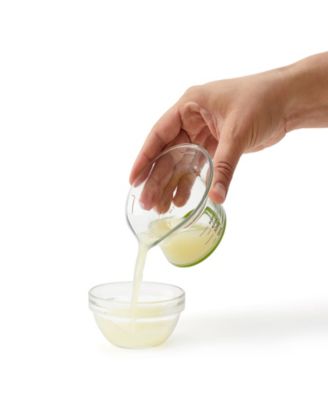 Mini Citrus Juicester