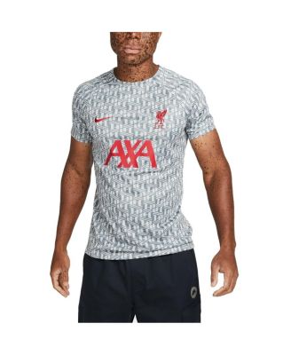 Men's Gray Liverpool 2023 Pre-Match Performance Top