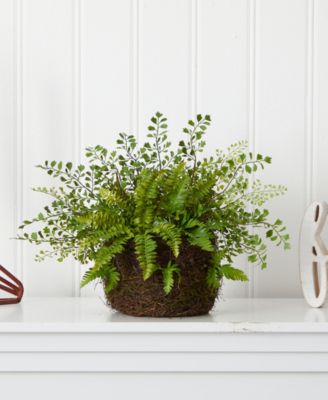 Mixed Fern with Twig & Moss Basket