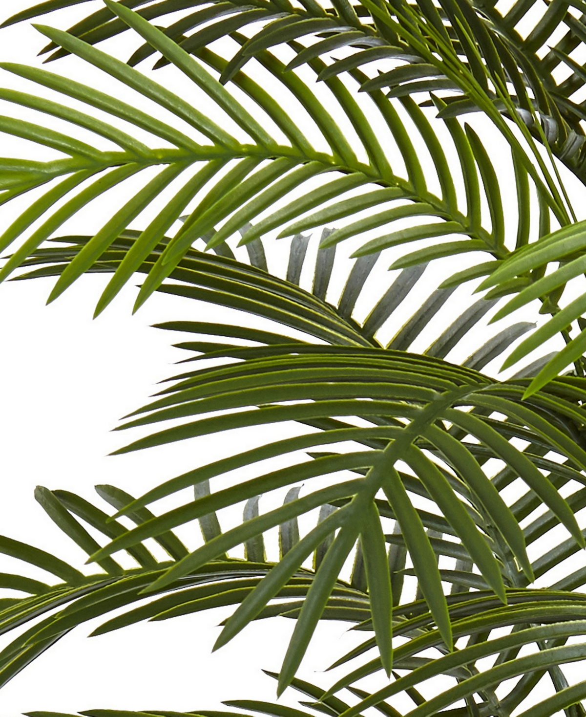 NEARLY NATURAL 5.5' INDOOR/OUTDOOR UV-RESISTANT ARTIFICIAL DOUBLE ROBELLINI PALM TREE 