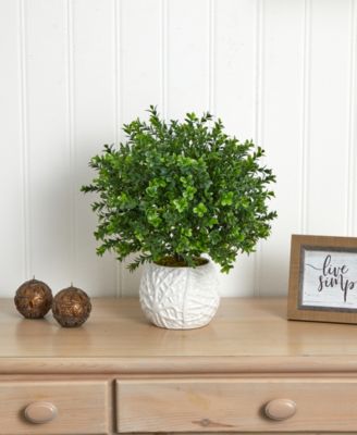 Boxwood Evergreen Indoor/Outdoor Artificial Plant in White Vase