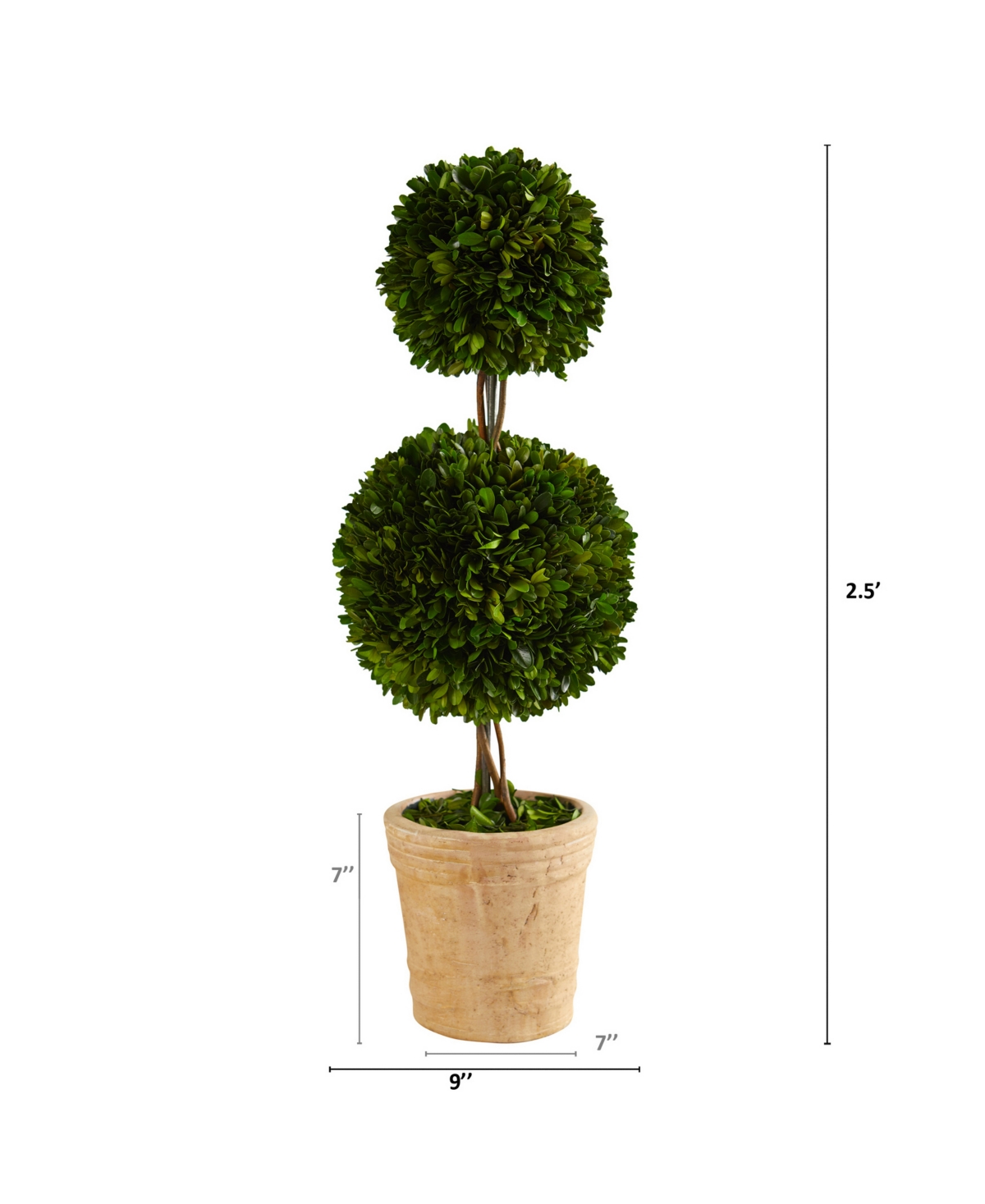 NEARLY NATURAL 2.5FT. PRESERVED BOXWOOD DOUBLE BALL TOPIARY TREE IN DECORATIVE PLANTER 