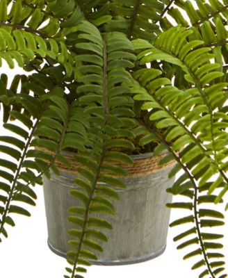 14'' Assorted Ferns with Planter Artificial Plant, Set of 3