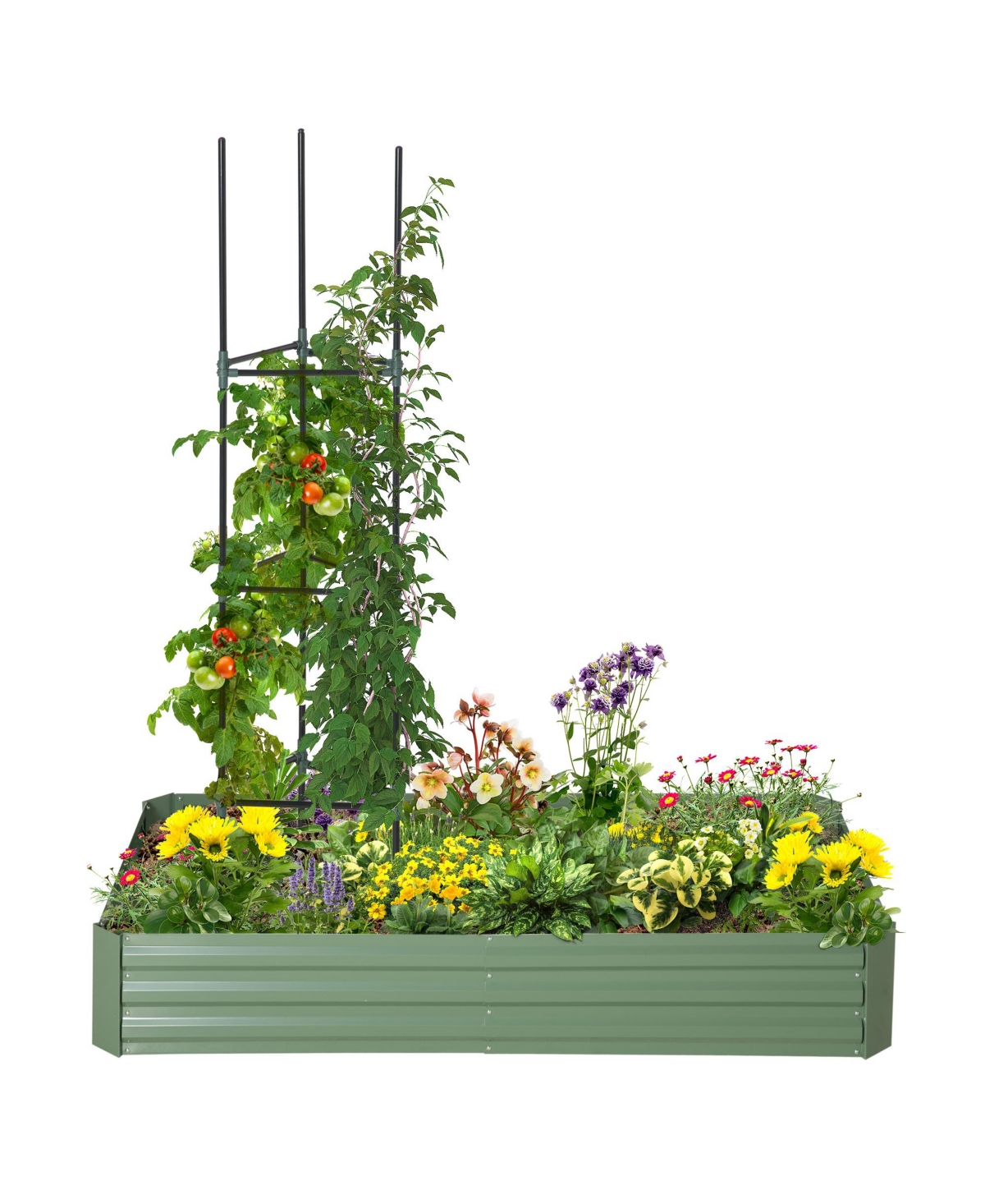 Raised Garden Bed, Galvanized Elevated Planter Box with 2 Customizable Trellis Tomato Cages, Reinforced Rods, Elevated & Metal for Climbing V