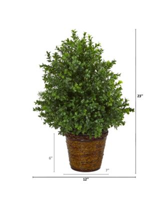 23" Sweet Grass Artificial Plant in Basket Indoor/Outdoor