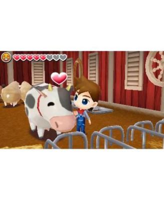 Harvest Moon: The Lost Valley - 3DS