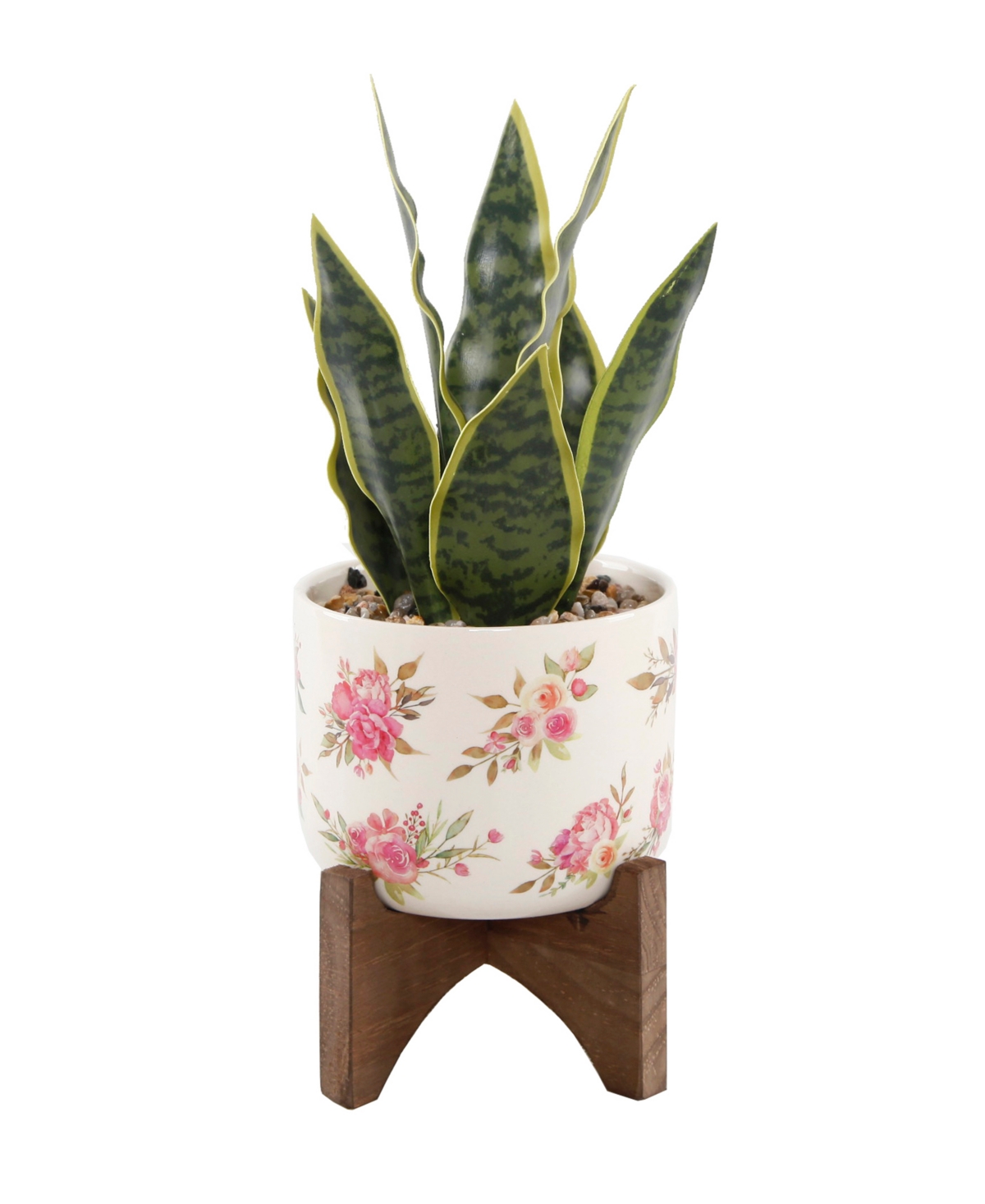 12" Snake Plant in Ceramic on Stand - White