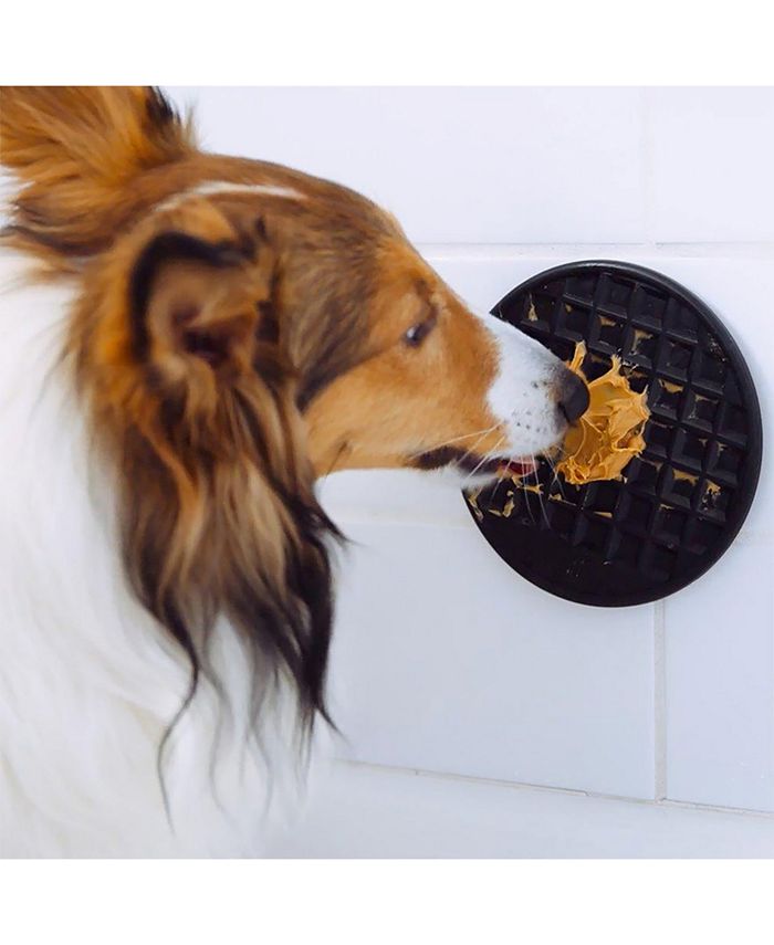 Waterpik Pet Wand Pro Macy's