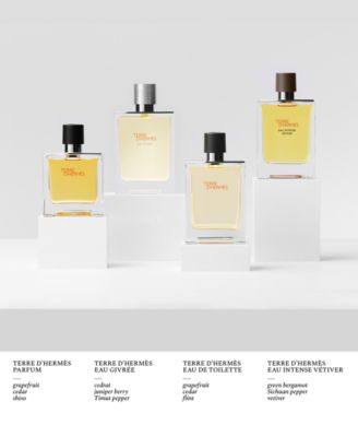 【最終値下げ】TERRE D'HERMÈS EAU GIVRÉE Terre d'Hermes Eau Givree Eau de parfum - 1.69 fl.oz