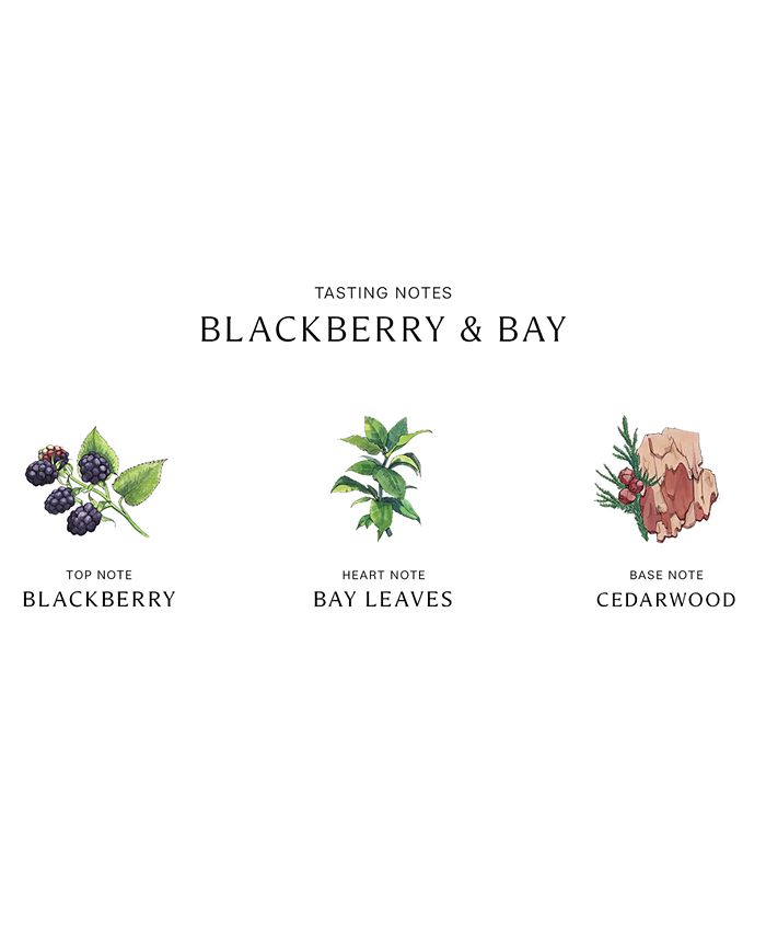 Jo Malone London - Blackberry & Bay Fragrance Collection