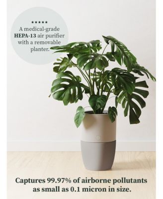 Bloom Air Purifier, Smart HEPA-13 Medical-Grade Filtration, Large Rooms (1,517 Sq. Ft.) with Integrated Planter