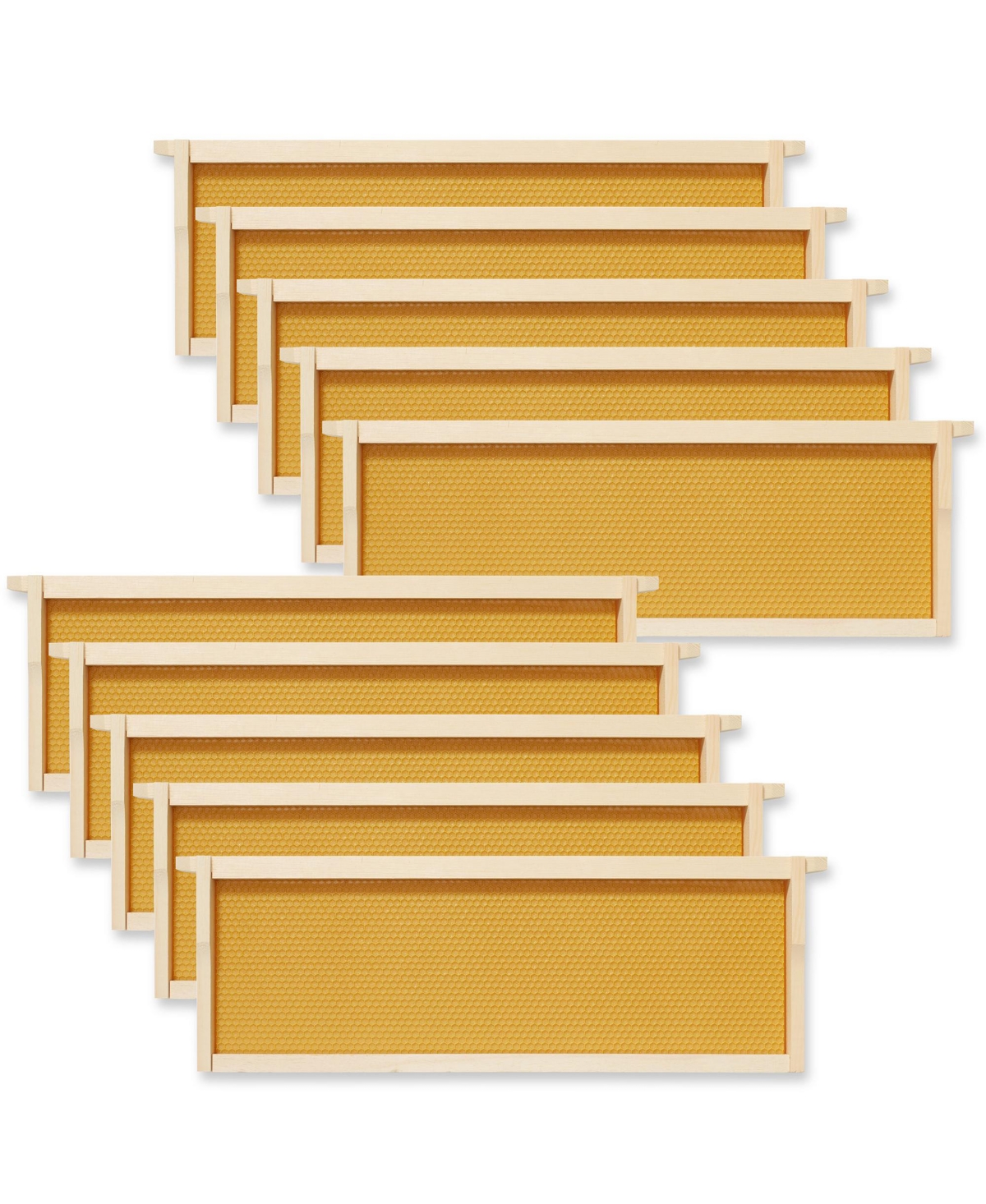 10 Assembled Beehive Frames with Waxed Natural Foundations for Beekeeping, 6-1/4 inch - Natural