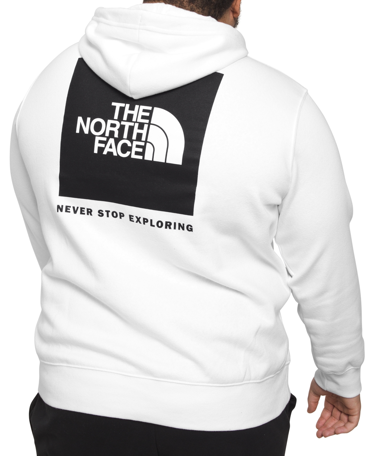 THE NORTH FACE MEN'S BIG BOX NSE PULLOVER HOODIE