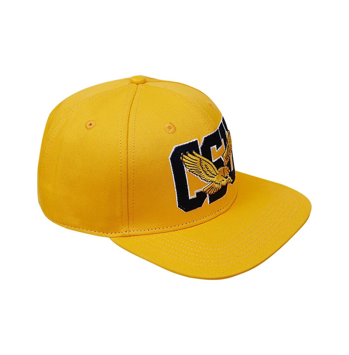 Мужская кепка Pro Standard Gold Coppin State Eagles Evergreen CSU Snapback Hat — фото 2