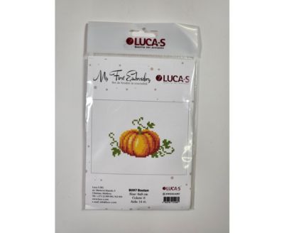 Luca-S
