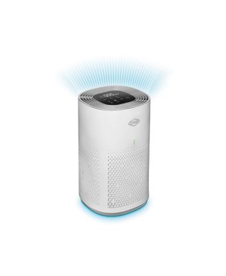 Chi Medium Room Air Purifier - 11030