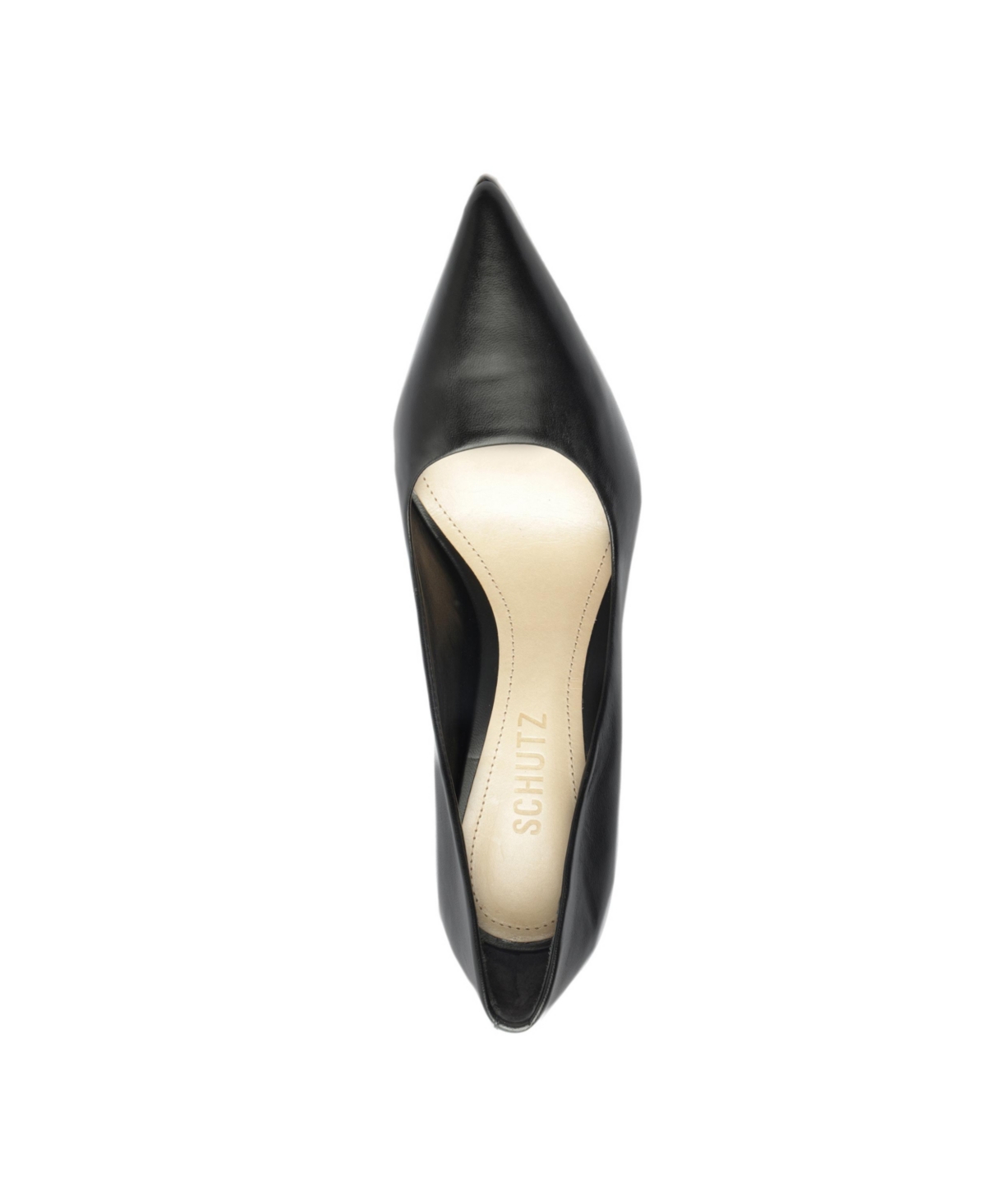 Shop Schutz Women's Lou Pointed Toe Pumps In Black Leather