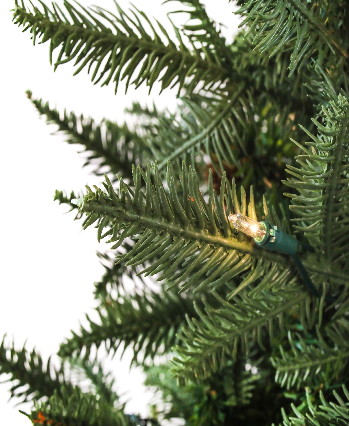 National Tree Company 3' Evergreen Pathway Tree With Clear Lights In Green