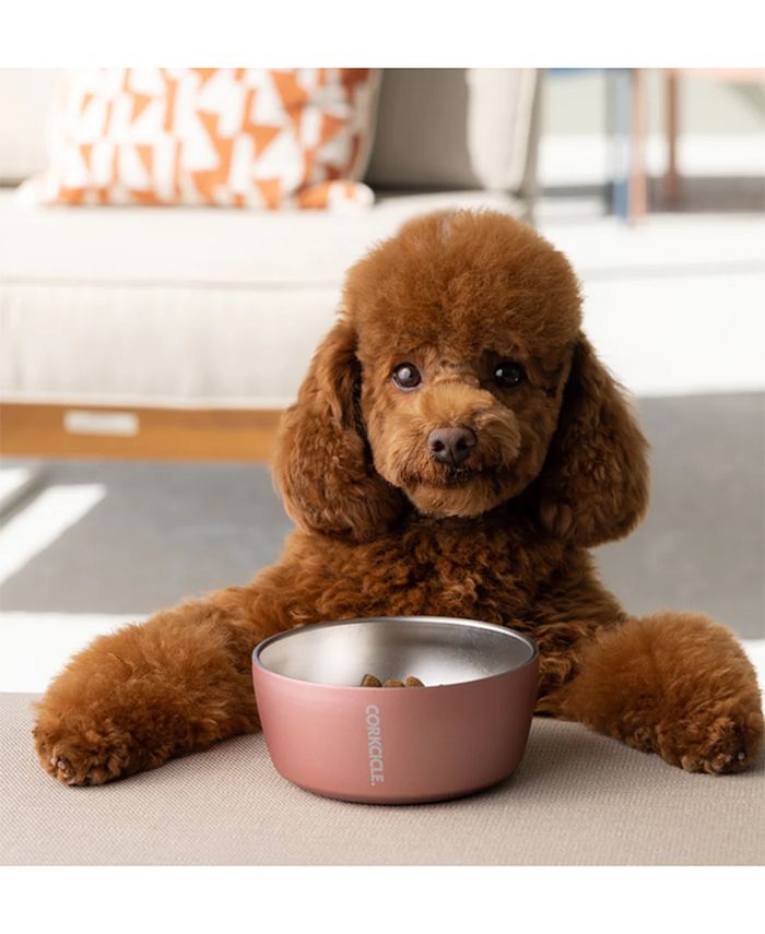 Corkcicle 16Oz. Sierra Stainless Steel Insulated Dog Bowl Macy's