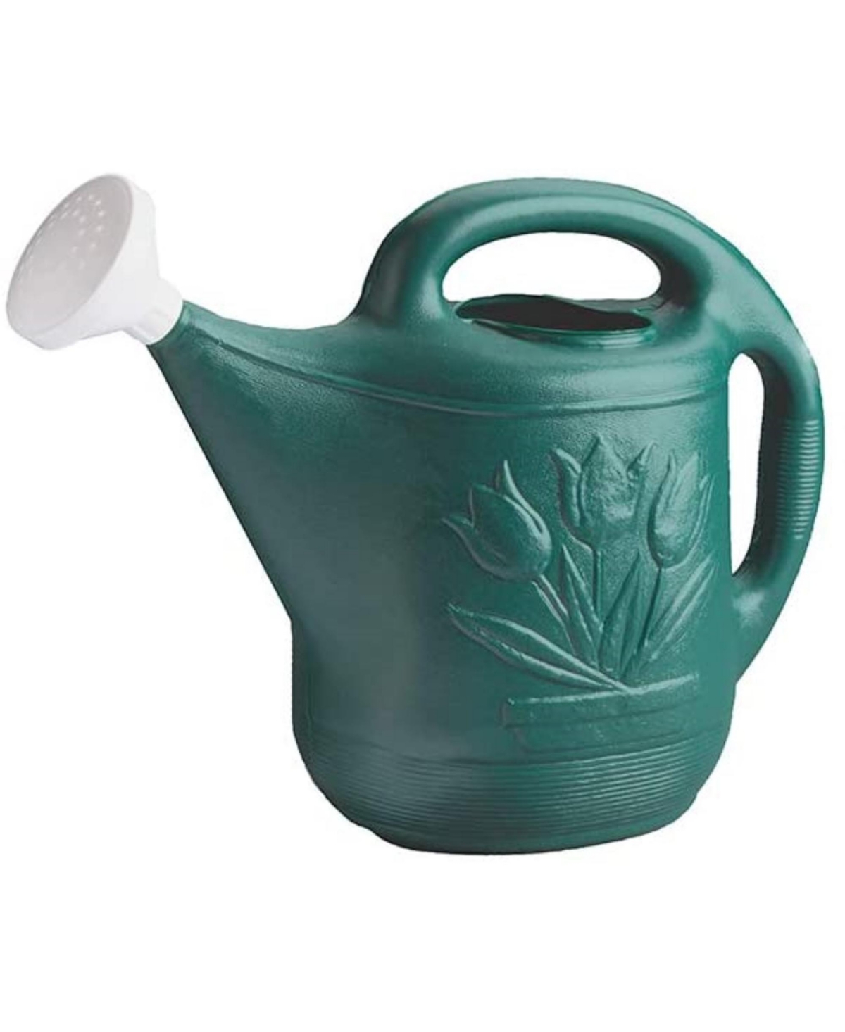 Classic Plastic Watering Can, Green, 2 Gallon Capacity - Green
