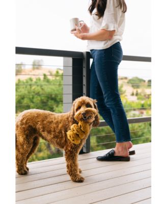 Pup Cup Cafe Collection: Cookies N' Treats