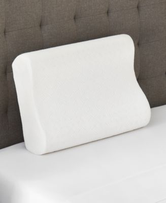 ProSleep Classic Support Contour Memory Foam Pillow, Standard/Queen ...