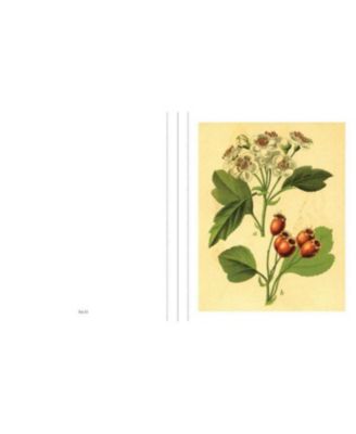 Instant Wall Art Vibrant Botanical Prints- 45 Ready-to-Frame Illustrations for Your Home D&eacute;cor by Adams Media Corporation