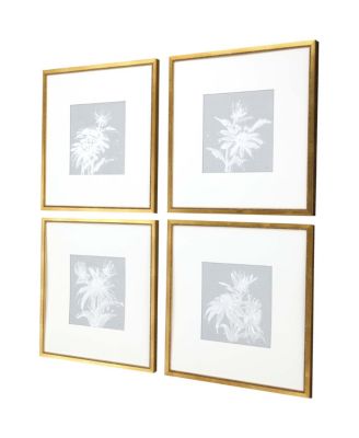 Echinacea Framed Art, Set of 4