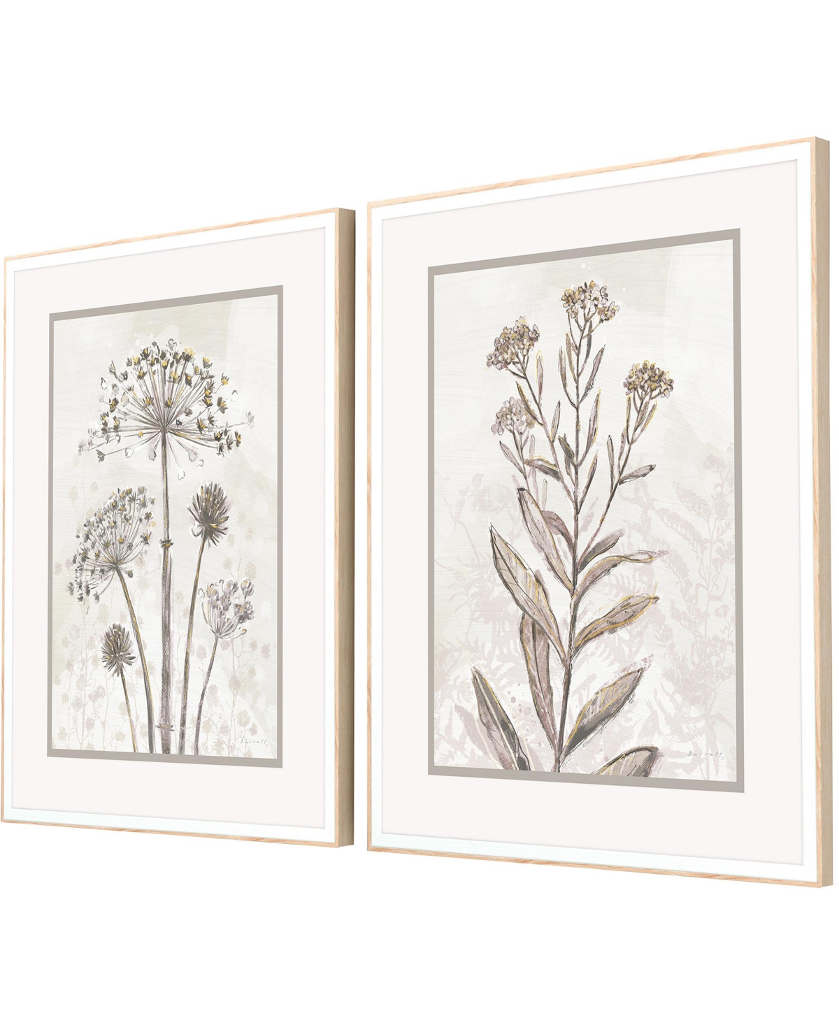 Shop Paragon Picture Gallery Dried Florals Ii Framed Art, Set Of 2 In Metallic
