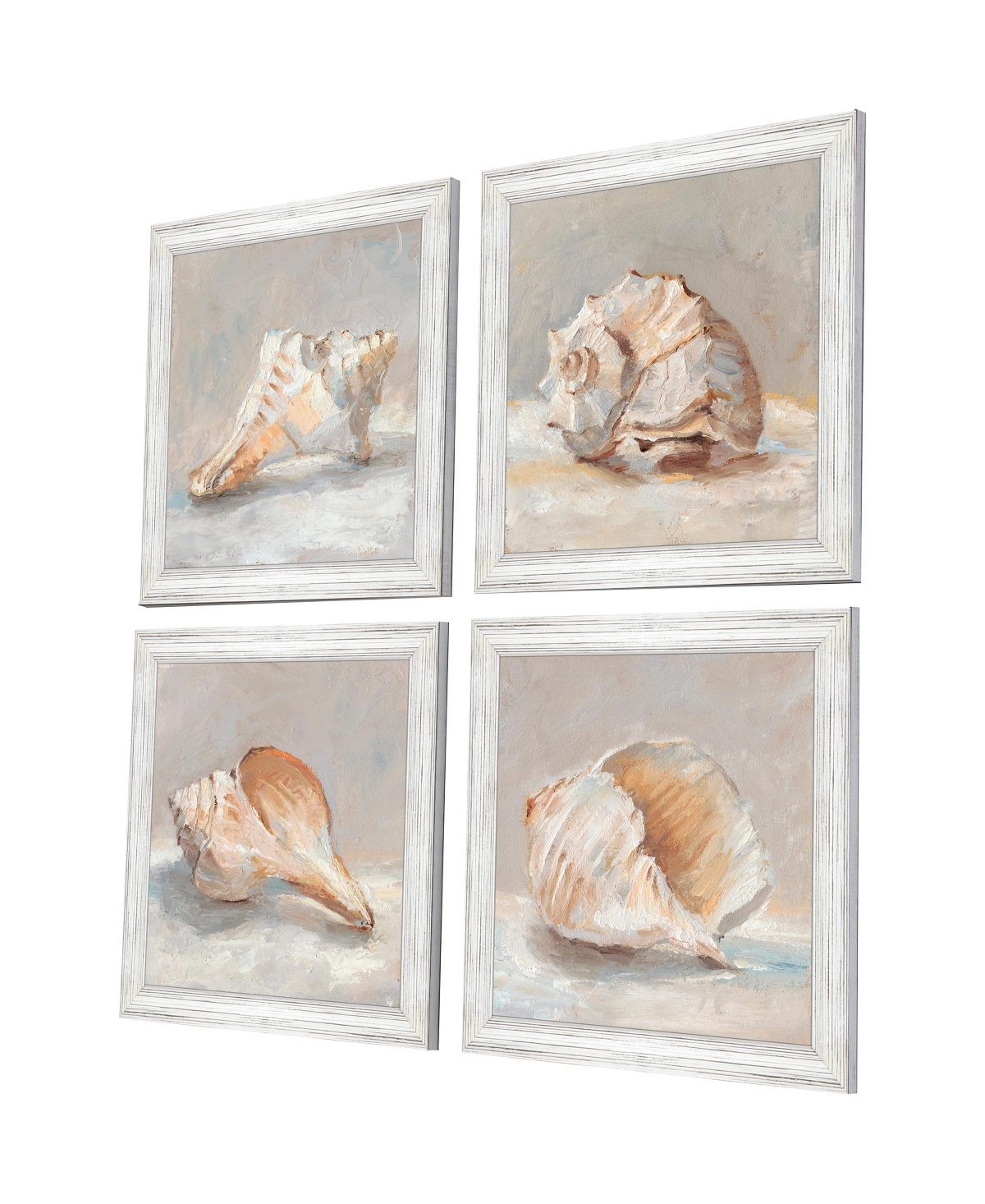 Shop Paragon Picture Gallery Shell Study Framed Art, Set Of 4 In Blue
