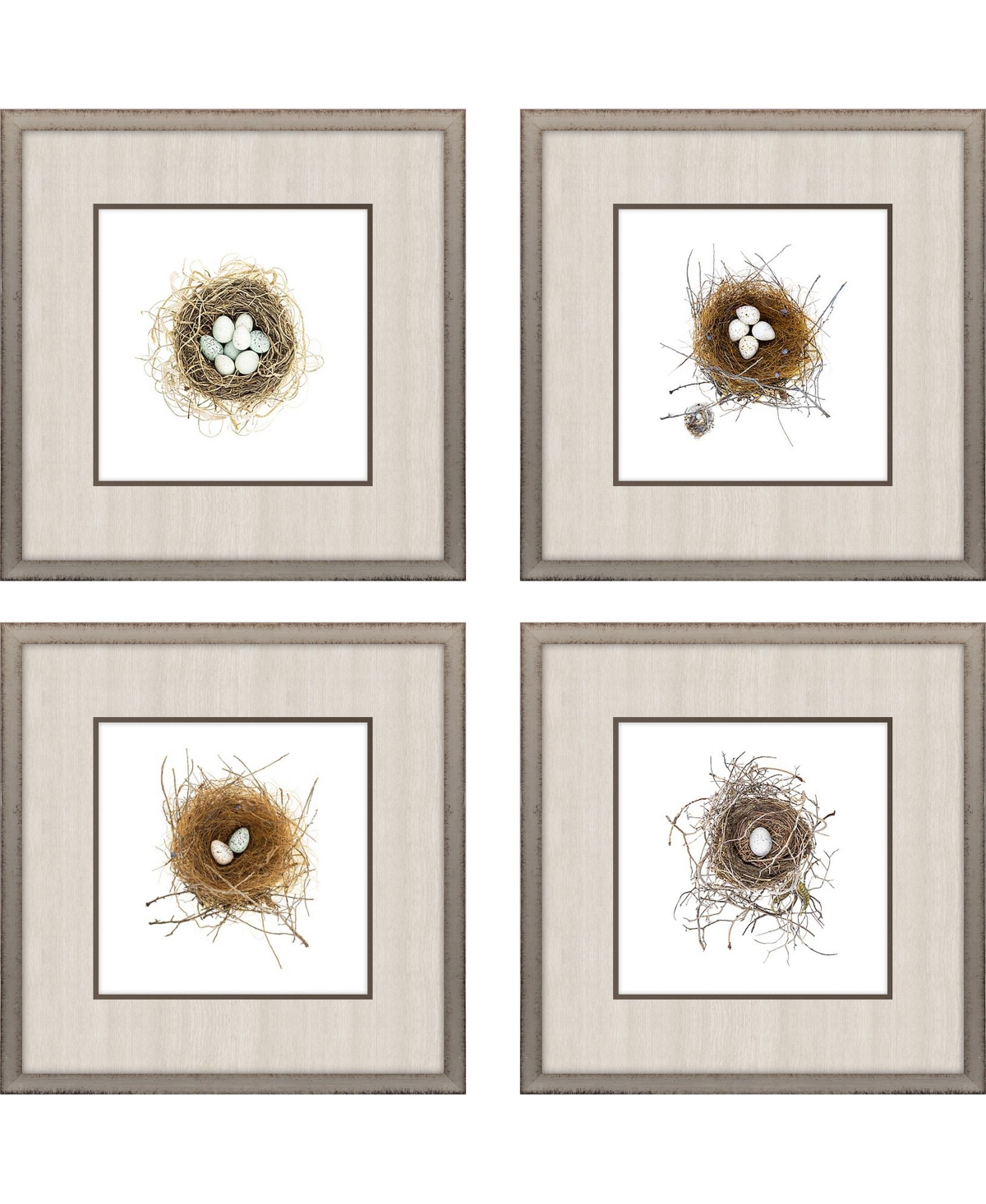 Paragon Picture Gallery Bird Nest Framed Art, Set Of 4 In Brown