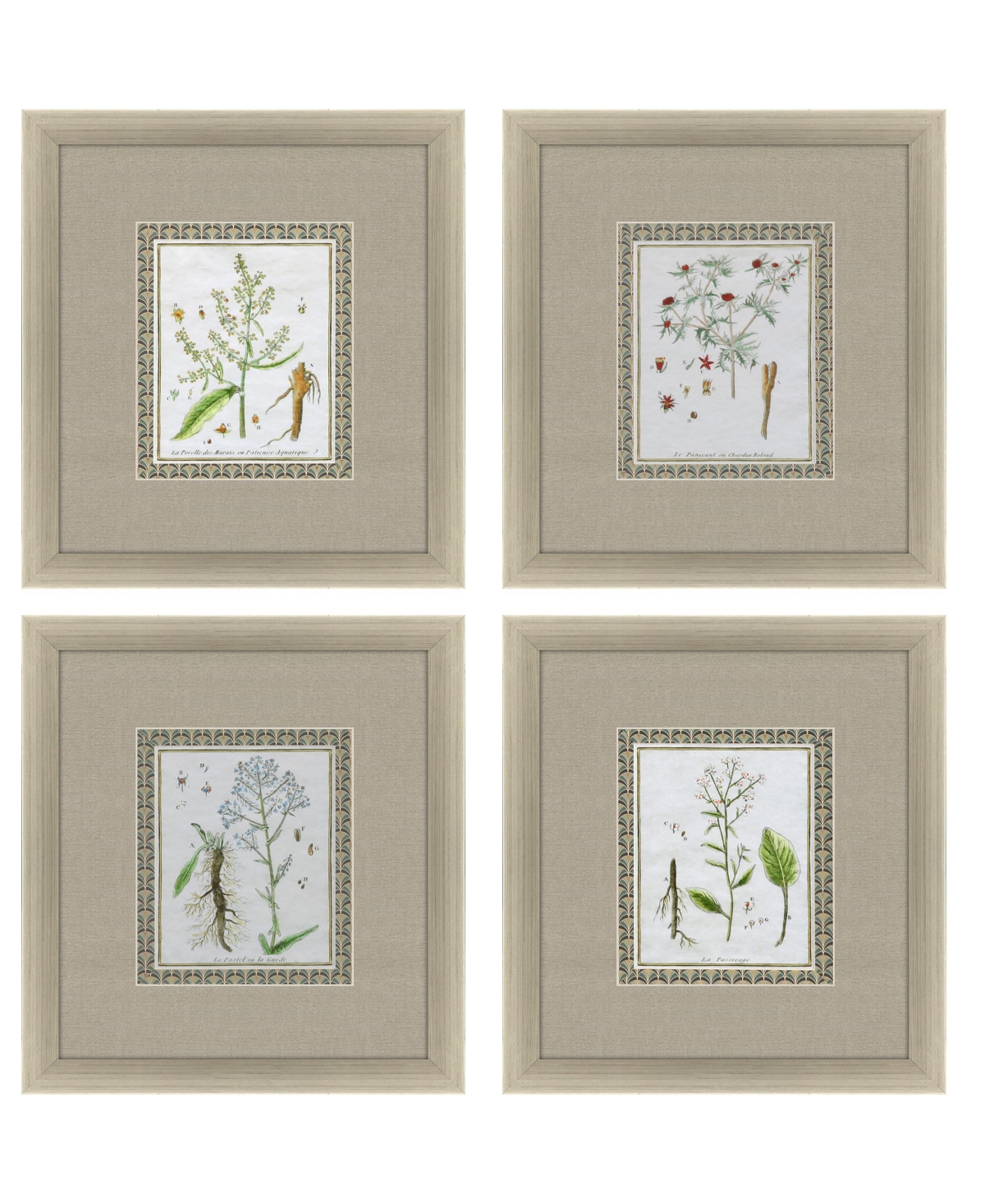 Paragon Picture Gallery La Passerage I Framed Art, Set Of 4 In Green