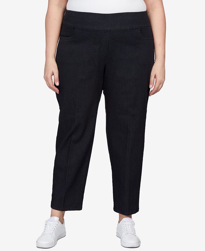 Alfred dunner plus best sale size classic pants