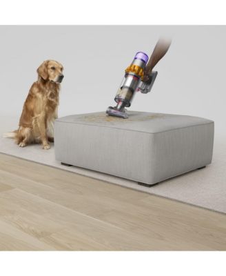 V15 Detect Cordless Vacuum
