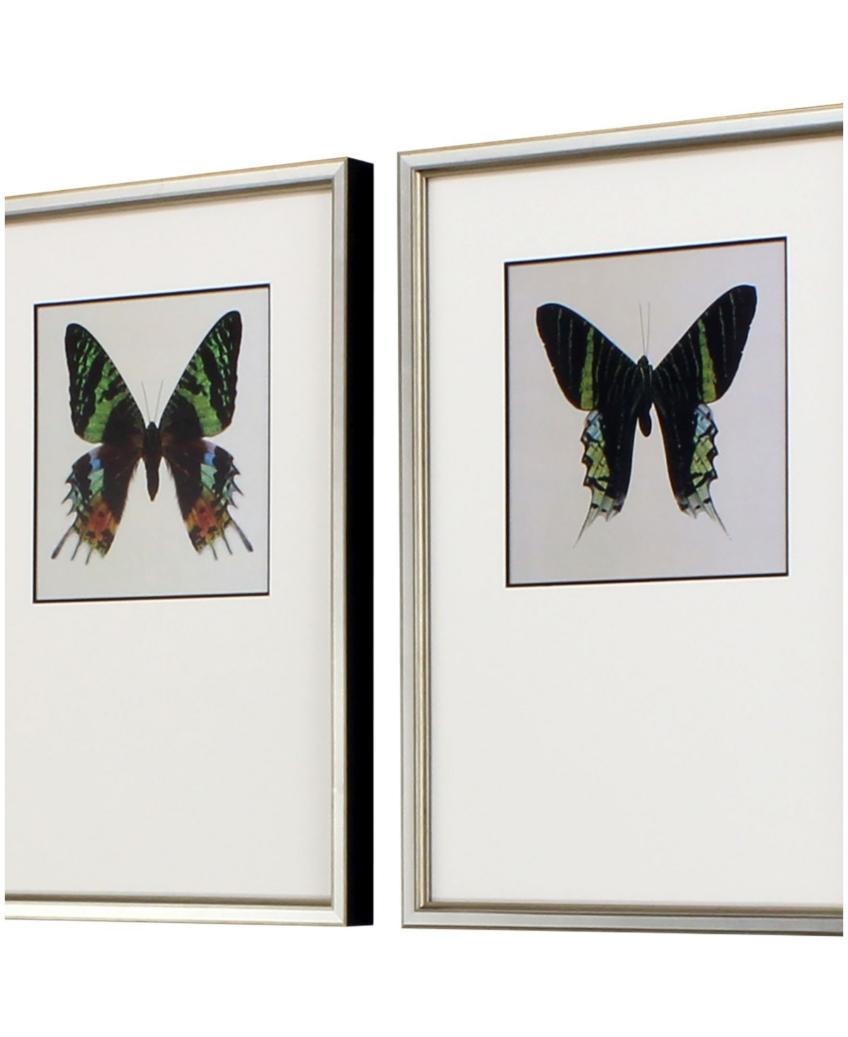 Shop Paragon Picture Gallery Great Butterfly I Framed Art, Set Of 2 In Black