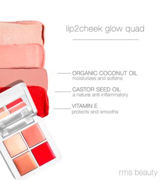 Lip2Cheek Glow Quad Mini Palette