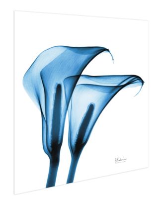 "Indigo Calla Lilies" Frameless Free Floating Tempered Glass Panel Graphic Wall Art, 24" x 24" x 0.2"