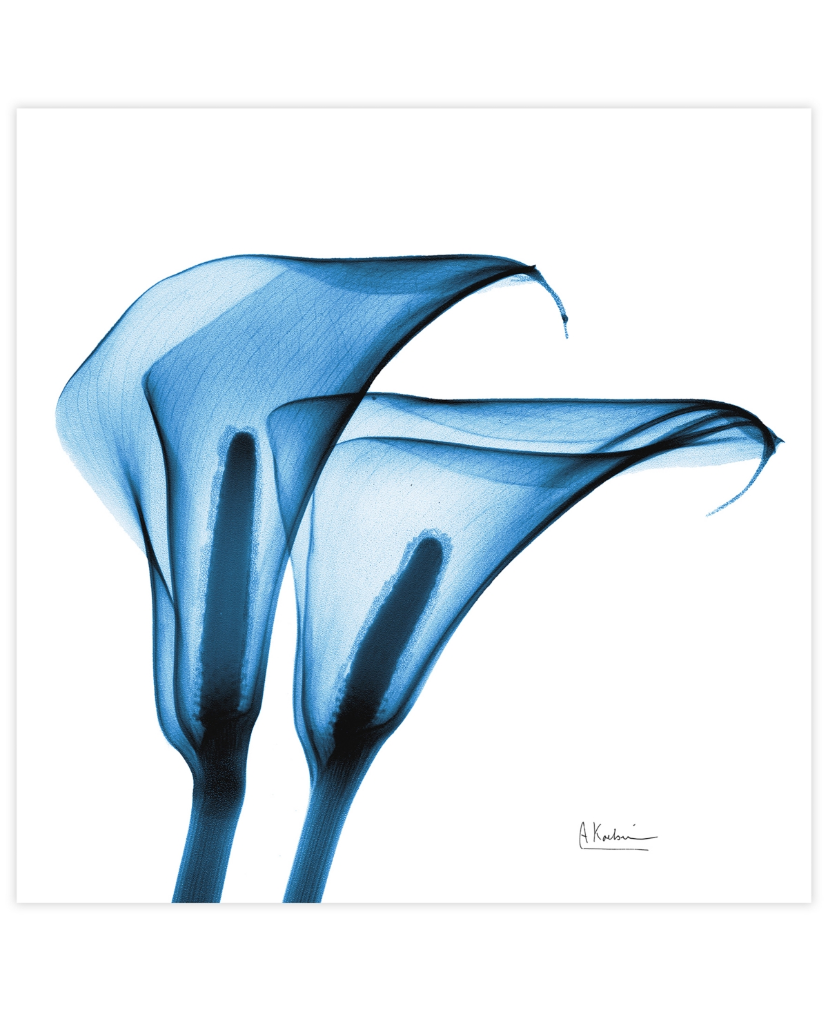 Empire Art Direct "indigo Calla Lilies" Frameless Free Floating Tempered Glass Panel Graphic Wall Art, 24" X 24" X 0.2 In Blue