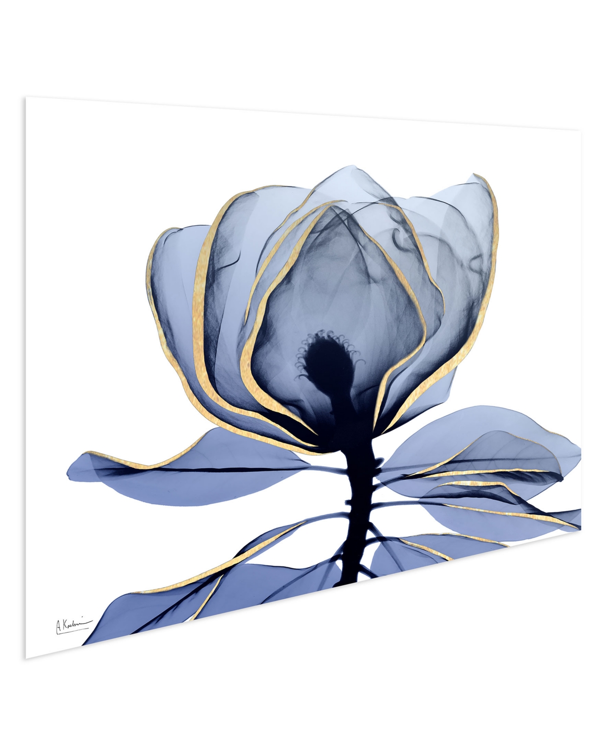 Empire Art Direct "golden-tone Midnight 1" Frameless Free Floating Tempered Glass Panel Graphic Wall Art, 32" X 48" X In Bleached Denim