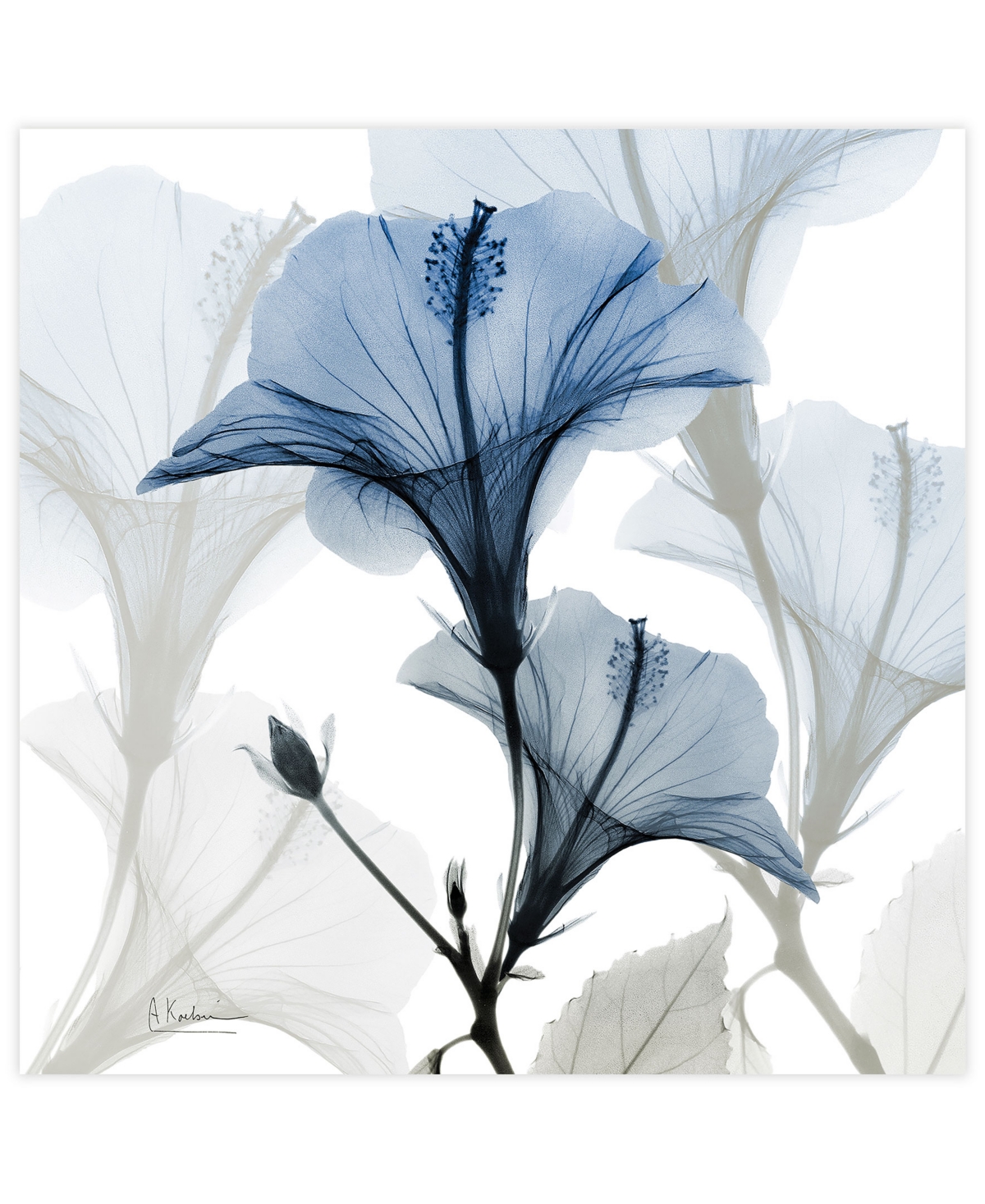 Empire Art Direct "blue X-ray Floral" Frameless Free Floating Tempered Glass Panel Graphic Wall Art, 24" X 24" X 0.2" In Blue,gray