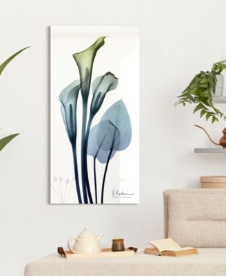 "CaLIa LIly" Frameless Free Floating Tempered Glass Panel Graphic Wall Art, 48" x 24" x 0.2"