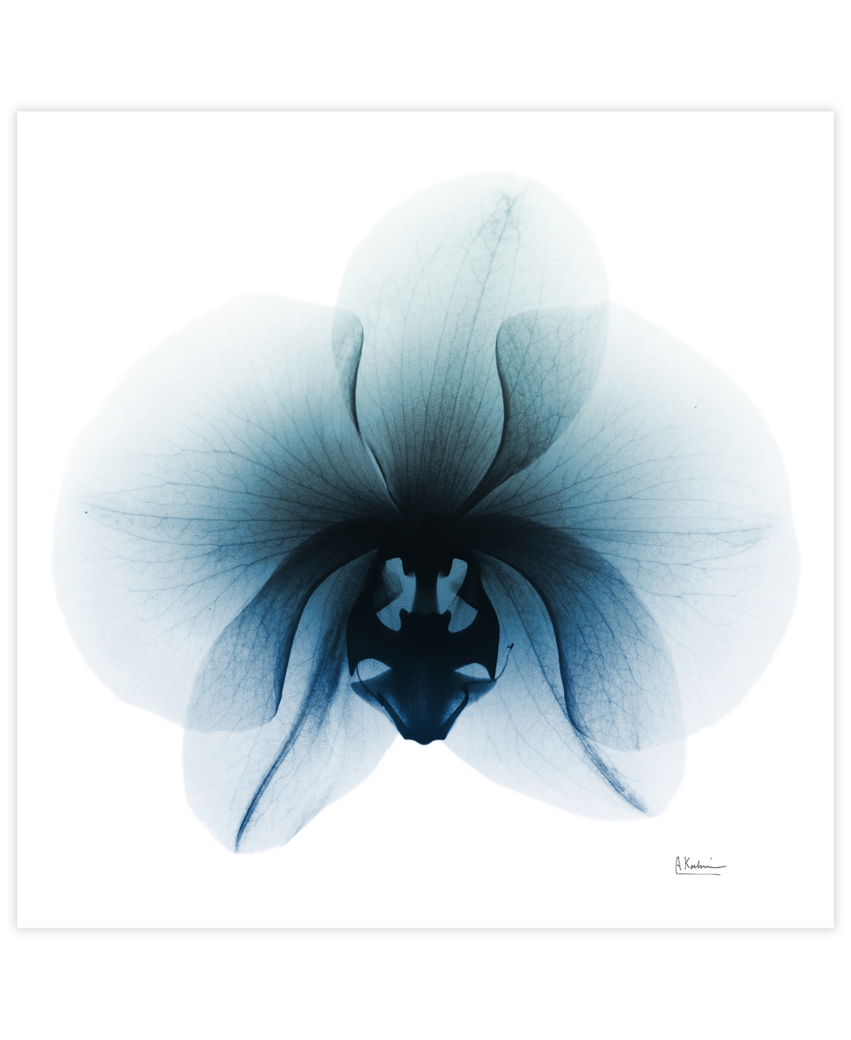 Empire Art Direct "glacial Orchid" Frameless Free Floating Tempered Glass Panel Graphic Wall Art, 38" X 38" X 0.2" In Blue