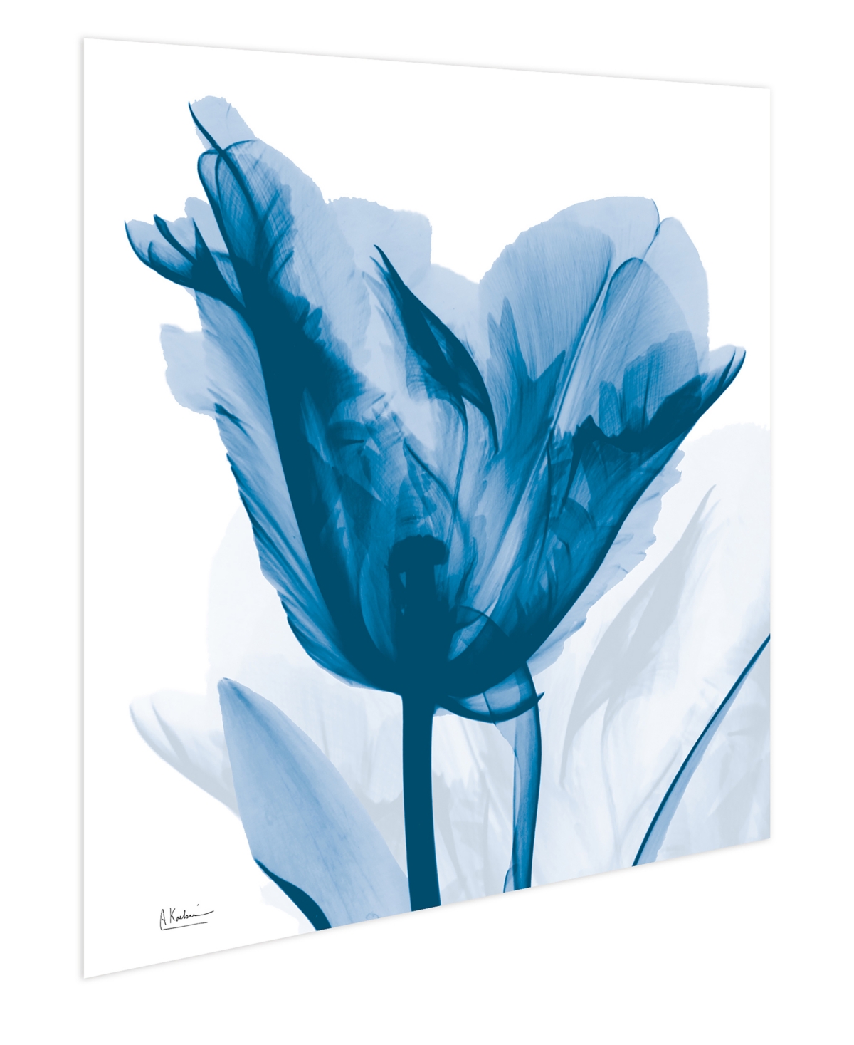 EMPIRE ART DIRECT "LUSTY BLUE TULIP" FRAMELESS FREE FLOATING TEMPERED GLASS PANEL GRAPHIC WALL ART, 24" X 24" X 0.2" 