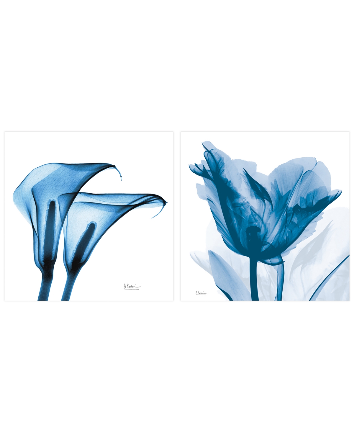 Empire Art Direct Lusty Blue Tulip Indigo Calla Lililes Frameless Free Floating Tempered Glass Panel Graphic Wall Art,