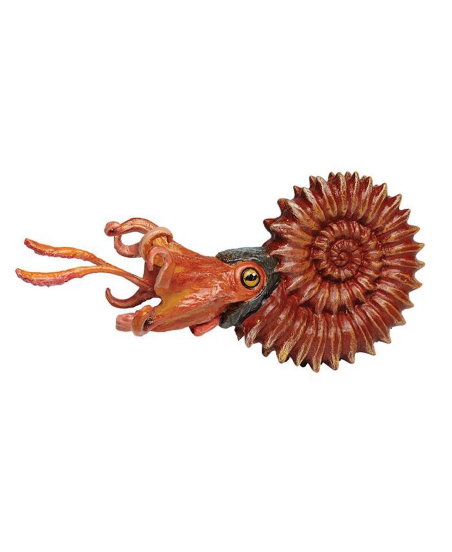 Детская фигурка Safari Ltd Ammonite Prehistoric Hand-Painted Action Figure, Ages 3+ — фото 2