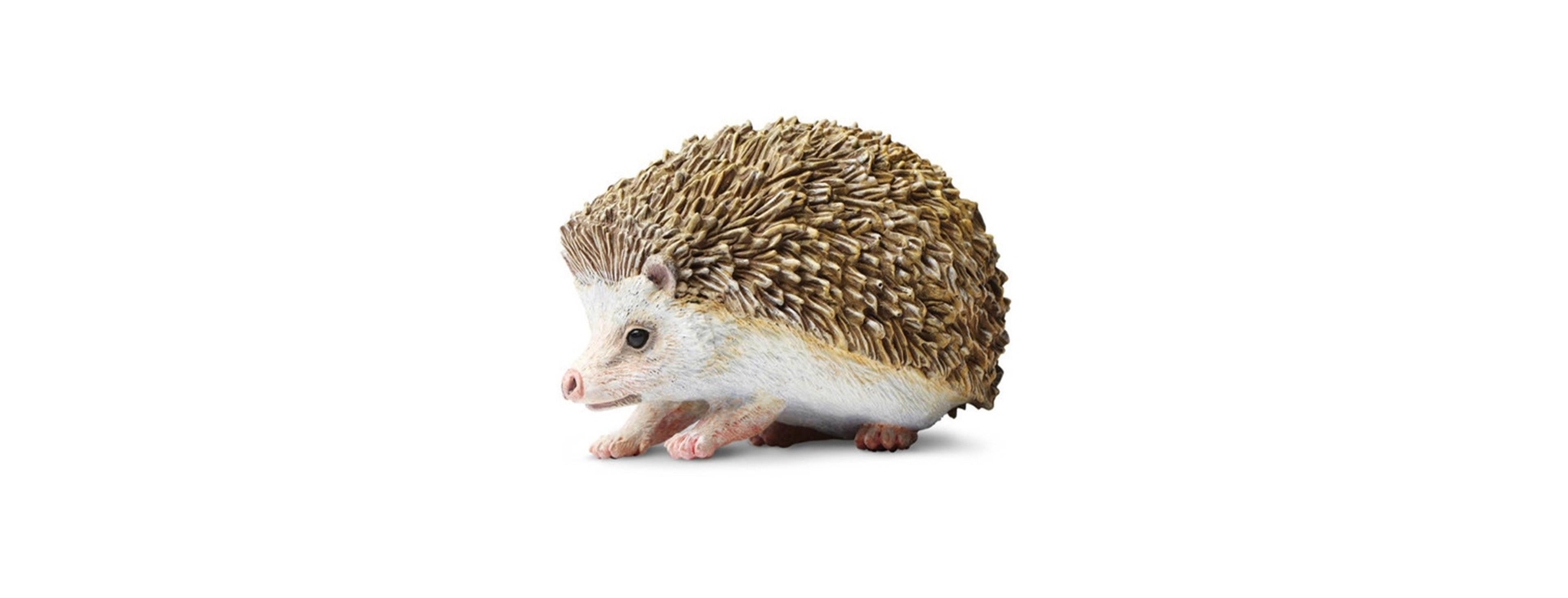 Safari Ltd Hedgehog Incredible Creatures Figure